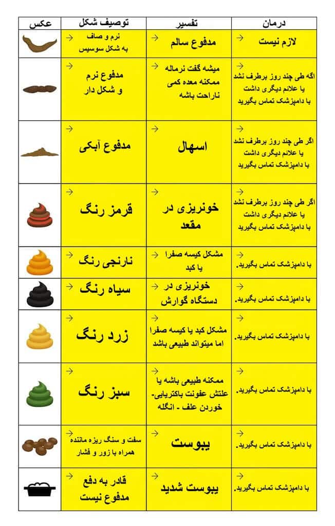 نمودار مدفوع گربه -دلیل رنگ مدوفوع گربه