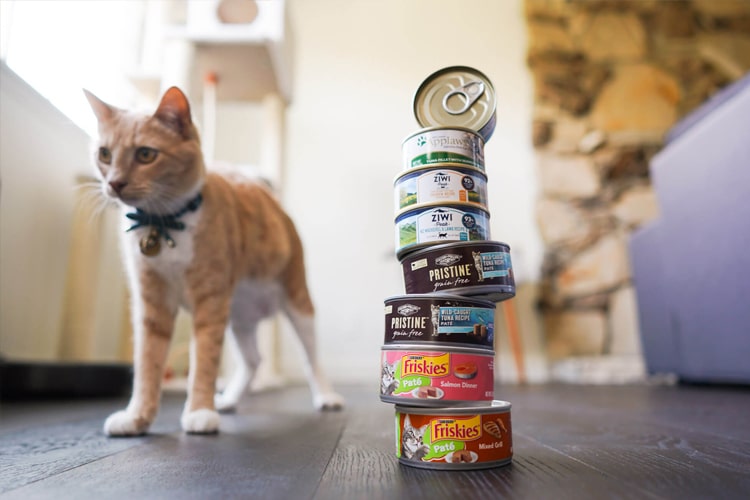 مزایا مصرف کنسرو گربه