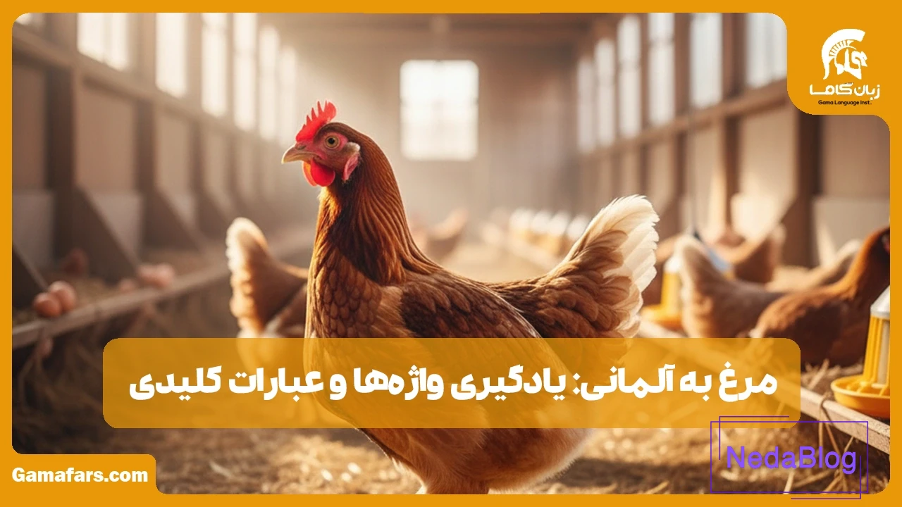 مرغ به آلمانی