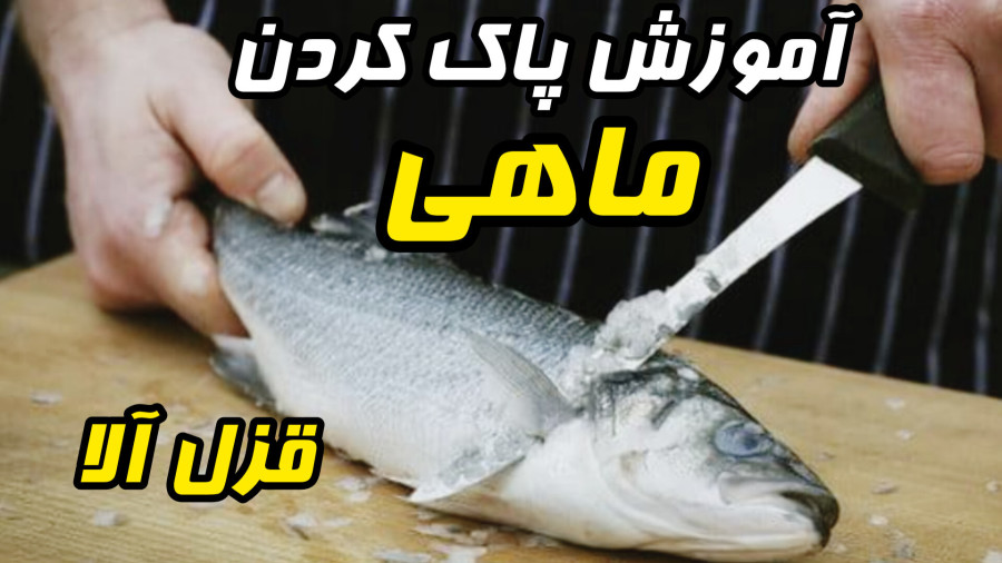 آموزش پاک کردن ماهی به روش بیرون بادراوردن استخوان