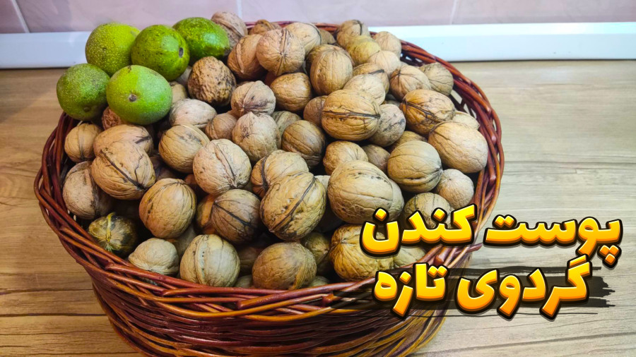 آموزش پوست کندن گردوی سبز با دو روش | پوست کندن گردوی تازه
