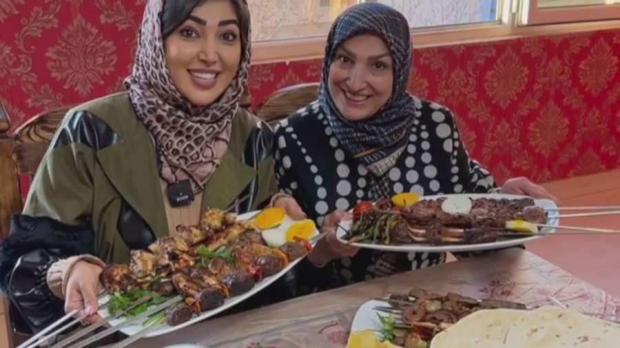 تیست انواع کباب کوبیده، جیگر، جوجه ترش و ...