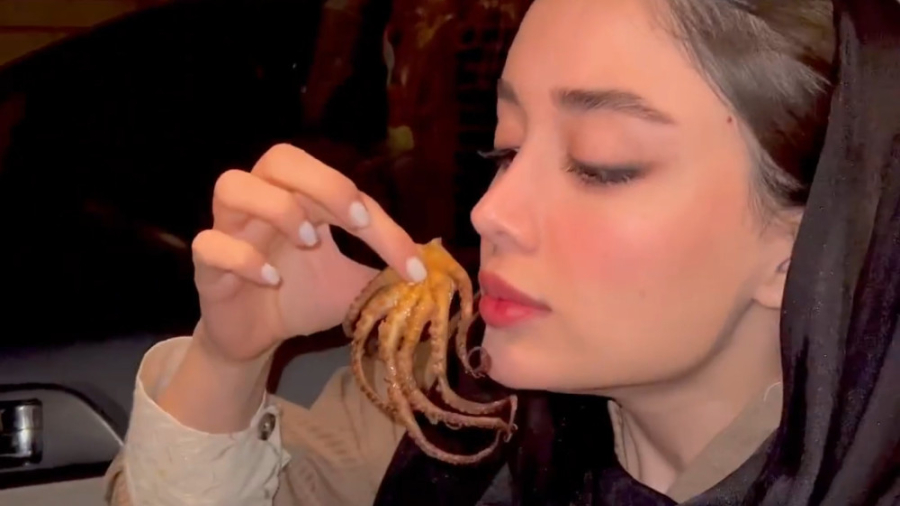 تیست چند تا هشت پا...