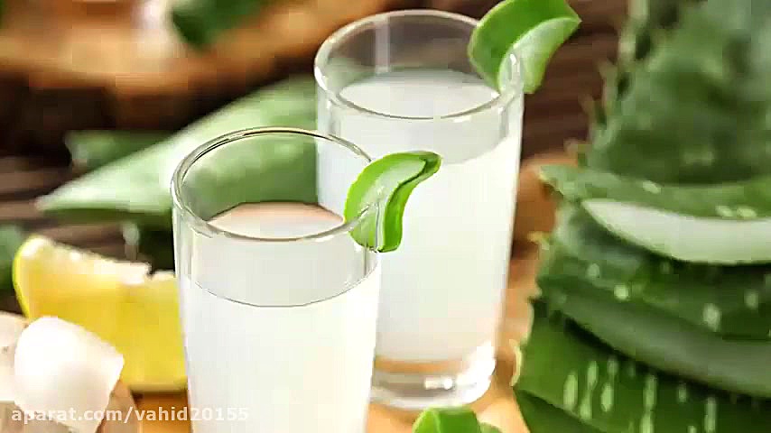 خواص و فواید گیاه آلوئه ورا