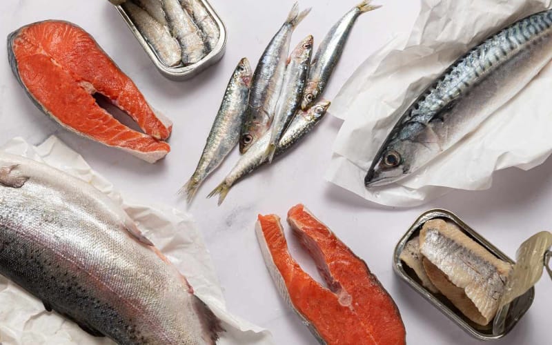 راهنمای پخت انواع غذا با ماهی؛ دستور پخت ۷ غذای خوشمزه