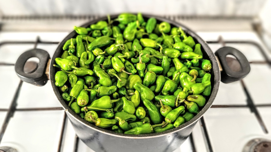 طرز تهیه ترشی فلفل به سبک اصیل (بیور همدانی)