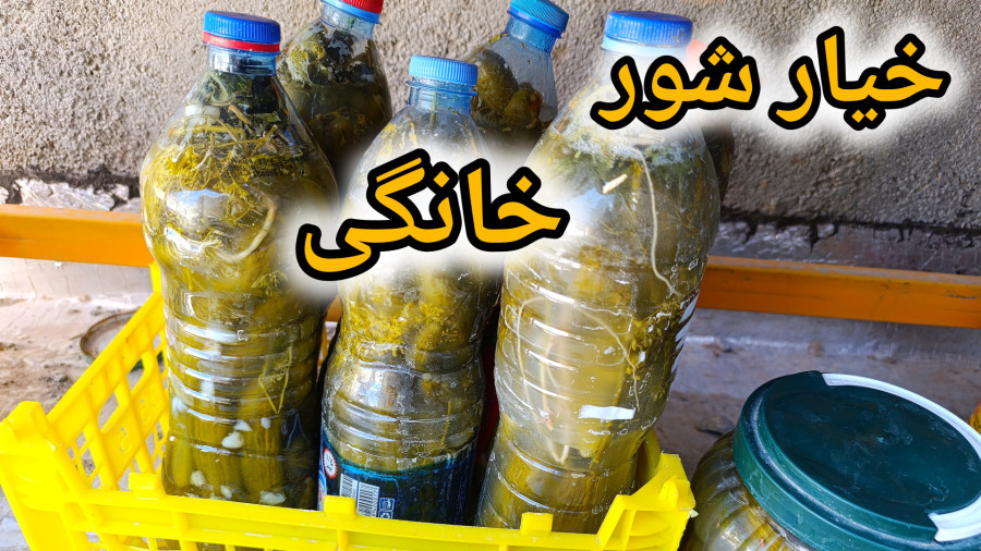 طرز تهیه خیارشور ؛ ترد و خوشمزه خانگی با تمام نکات | خیار شور