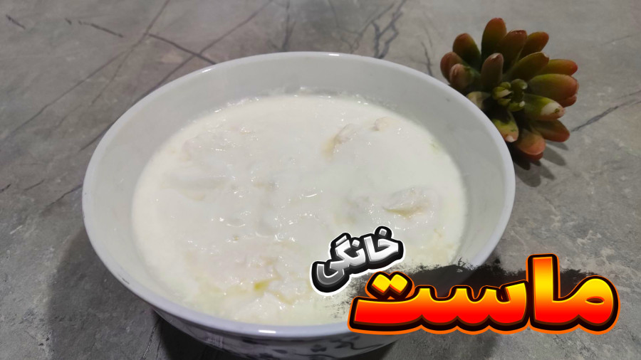 طرز تهیه ماست خانگی / بهترین روش درست کردن ماست خانگی