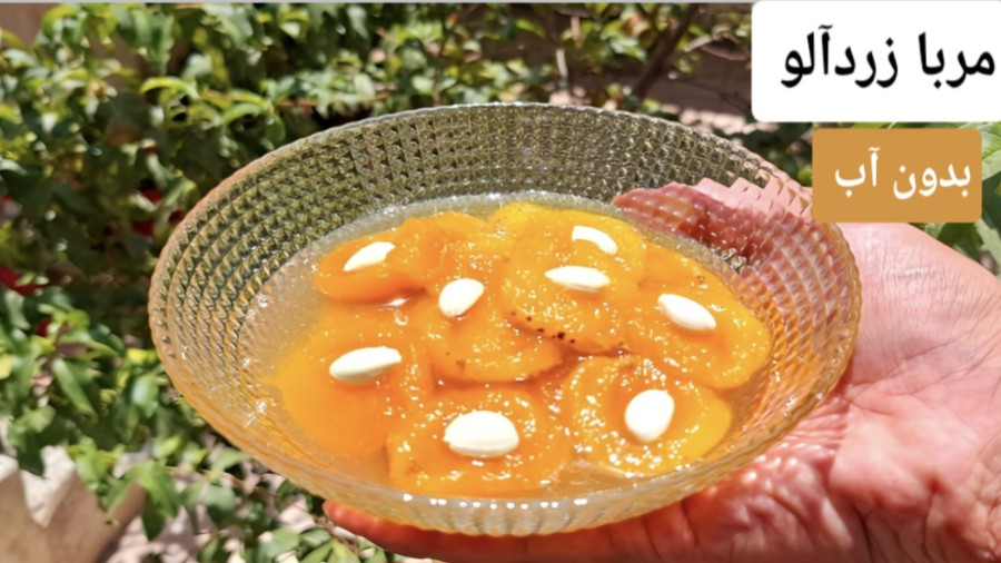 طرز تهیه مربای زردآلو بدون آب با تمام نکات | مربا زردآلو | مربای زردآلو