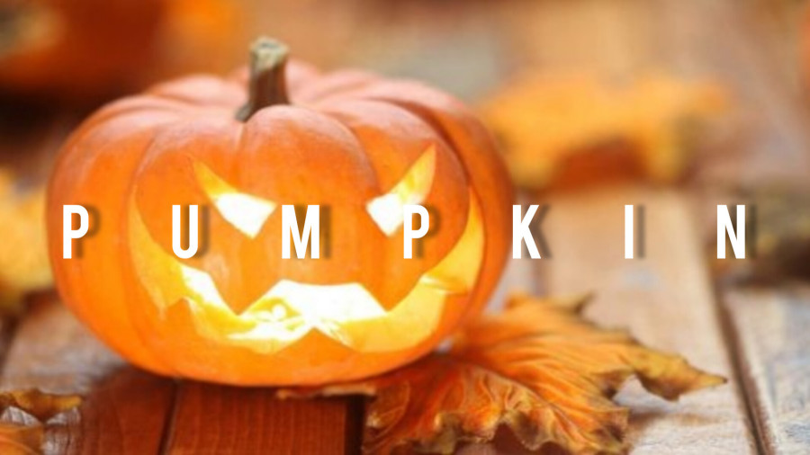 طرز تهیه کدو حلوایی با شیره انگور