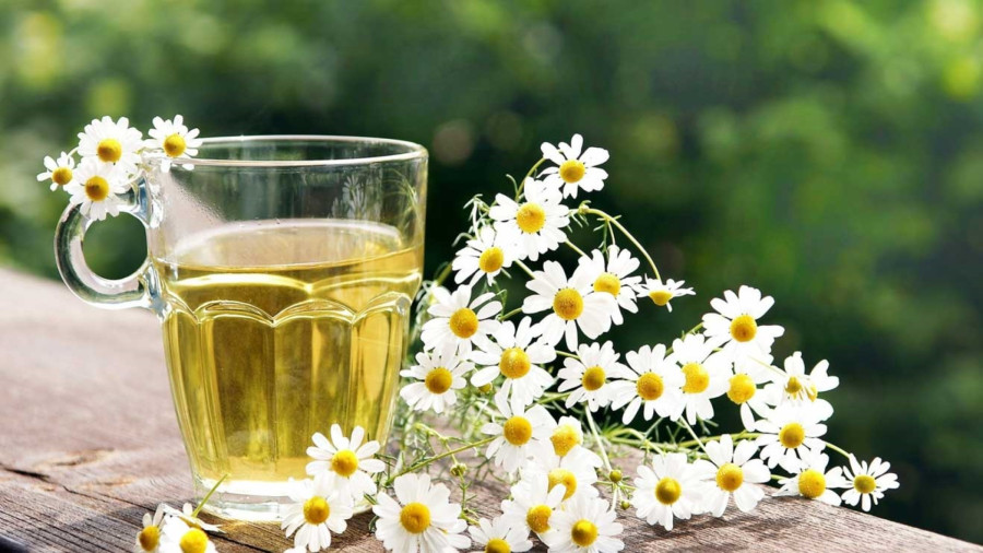 عوارض مصرف بابونه بیش از حد