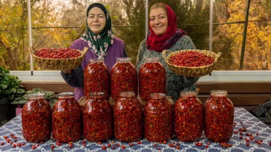 مربای رزهیپ یا گل نسترن به روش مادربزرگ | زندگی روستایی - آشپزی در طبیعت