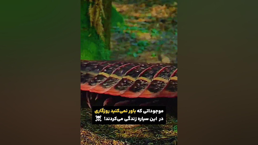 موجودات ماقبل تاریخ که باور نمیکنید یه زمان وجود داشتن