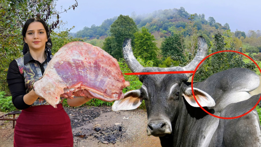 پخت استیک با کوهان گاو و نان محلی