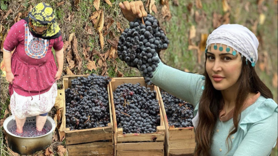 پختن شبره انگور و خشیل در یکروز بارونی