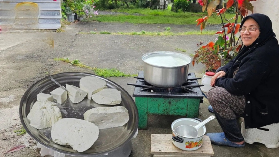 پنیر روستایی در 5 دقیقه: ساده‌ترین روش برای تهیه پنیر خانگی
