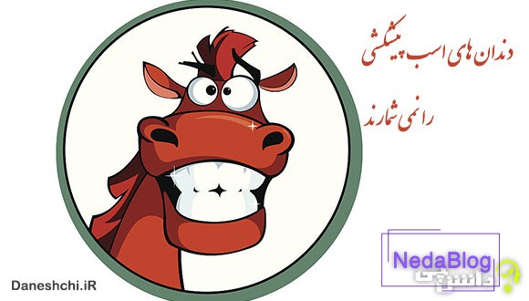 دندان اسب پیشکشی را نمی شمارند
