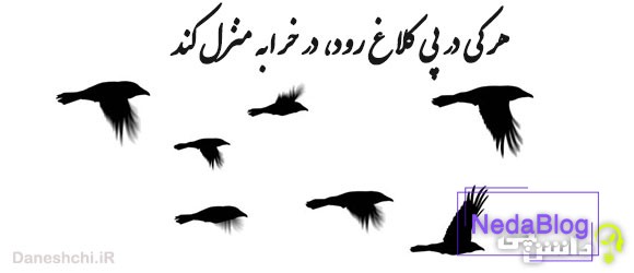 معنی ضرب المثل هر کی در پی کلاغ رود در خرابه منزل کند