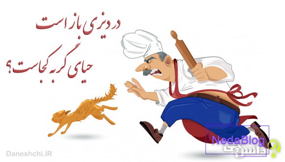 در دیزی باز است حیای گربه کجاست 