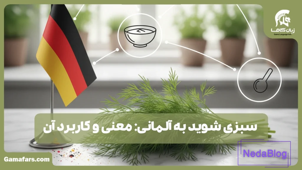 سبزی شوید به آلمانی