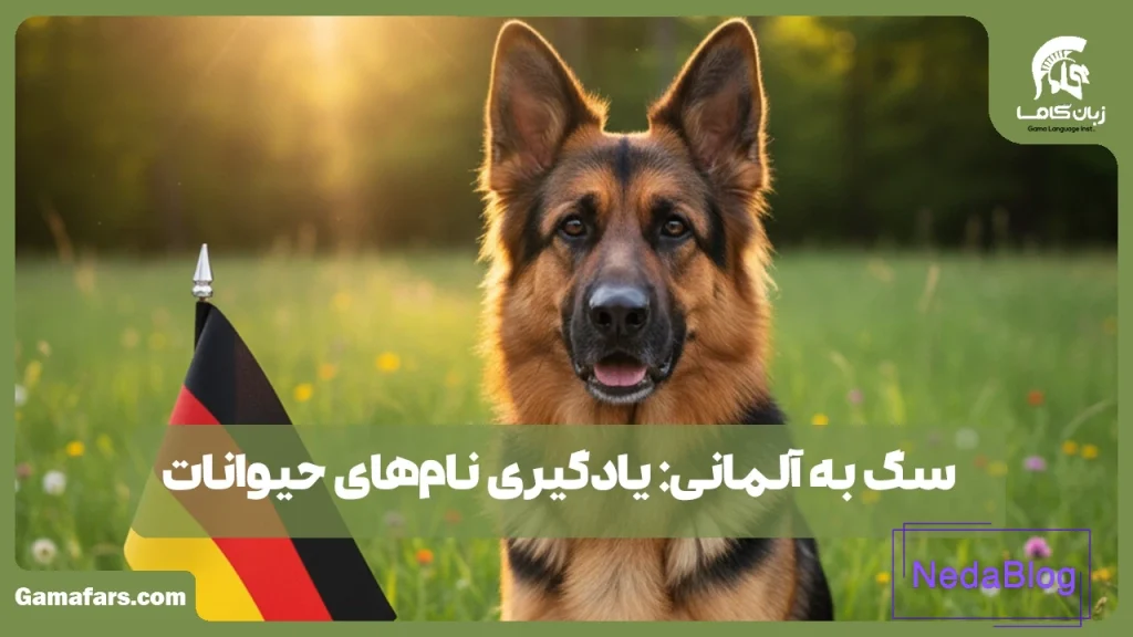 سگ به آلمانی