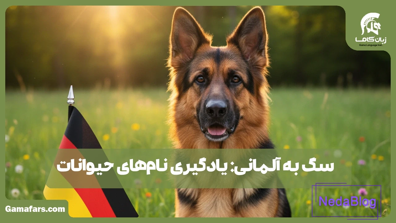 سگ به آلمانی