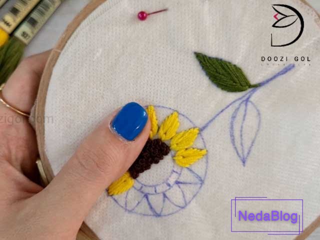 گلندابلاگ آفتاب گردان برزیلی