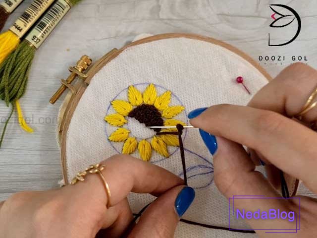 گلندابلاگ آفتاب گردان به صورت برزیلی