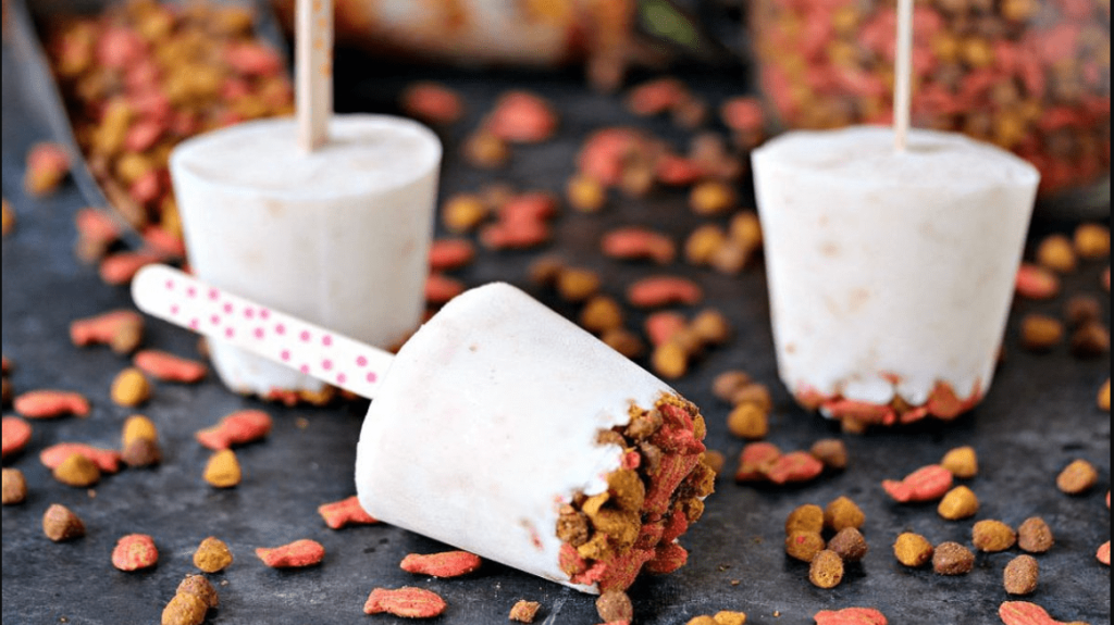 ۱۳ مورد از بهترین غذاهای خشک