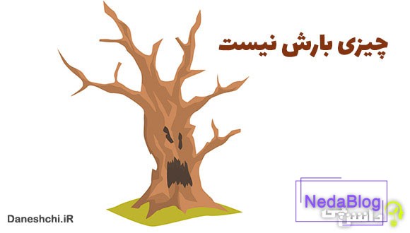 معنی چیزی بارش نیست