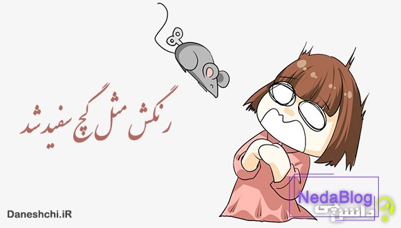 معنی رنگش مثل گچ سفید شد