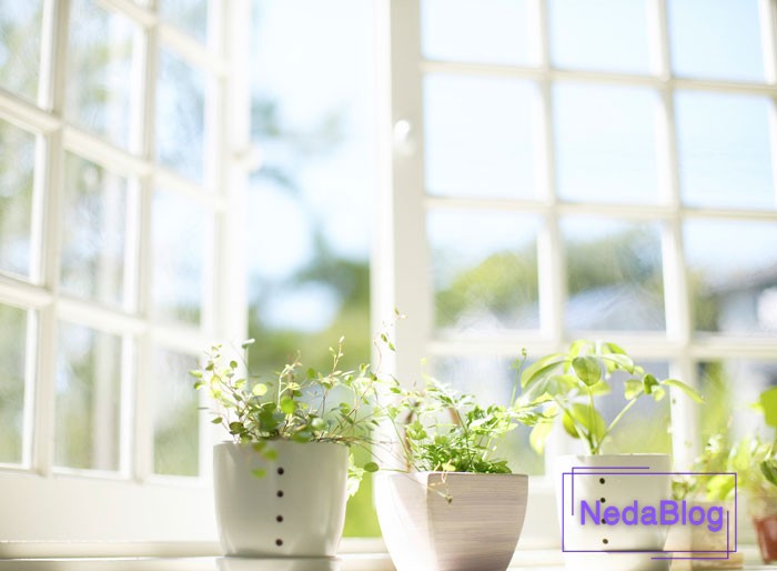 فنگ شویی ذهن