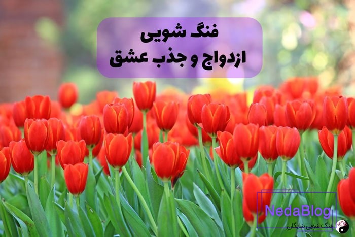 فنگ شویی ازدواج و جذب عشق