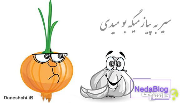 معنی ضرب المثل سیر به پیاز میگه بو میدی
