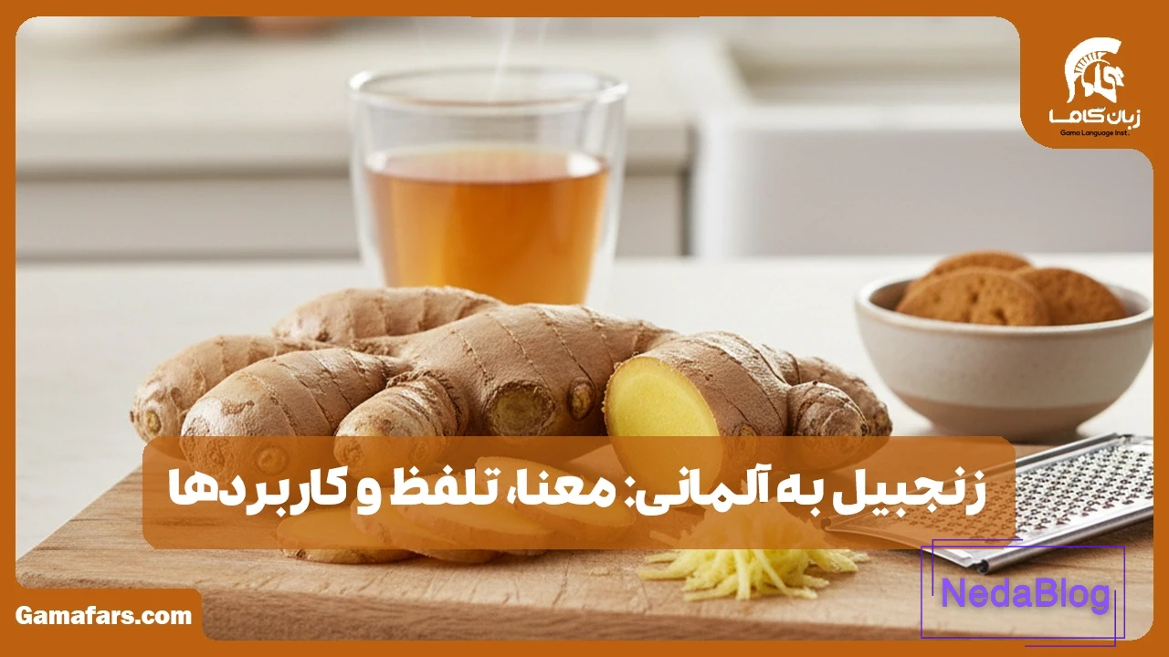 زنجبیل به آلمانی