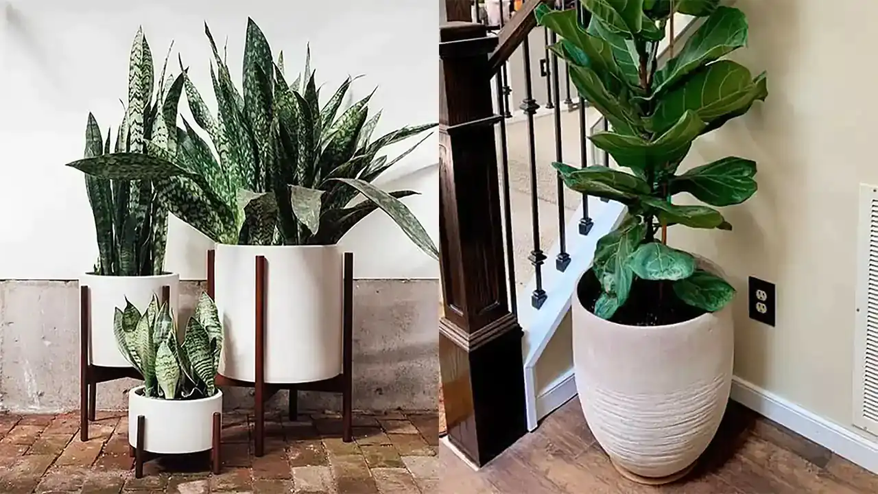 جدیدترین مدل گلدان کنار سالنی + زیباترین مدل های گلدان کنار سالنی بسیار لاکچری