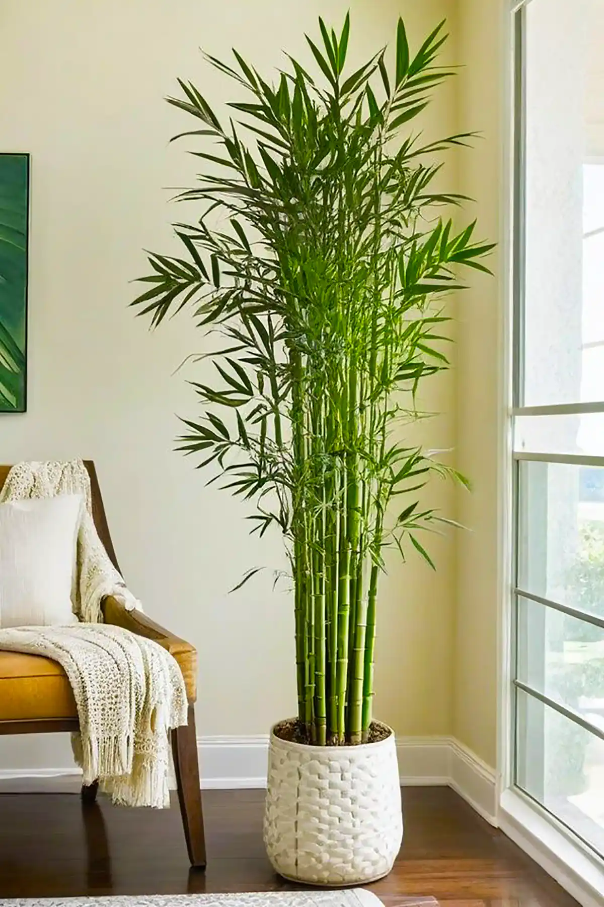 گلدان طبیعی کنار سالنی شیک