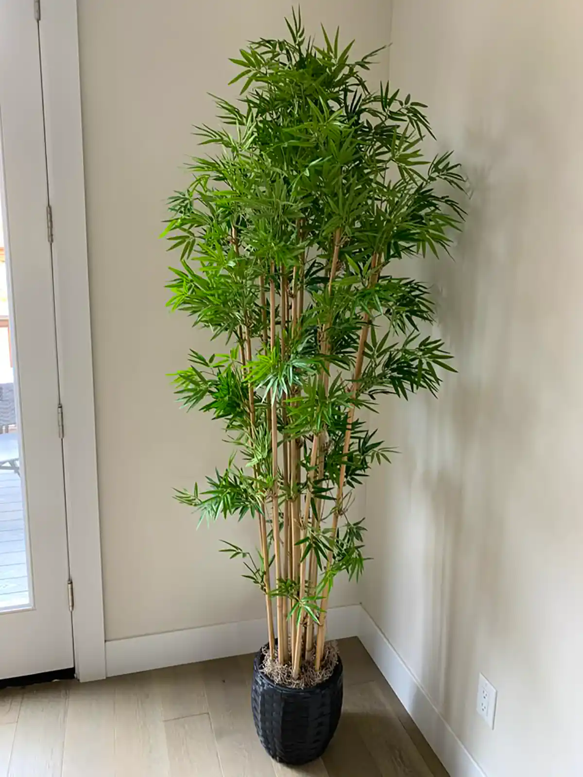 گلدان طبیعی کنار سالنی شیک