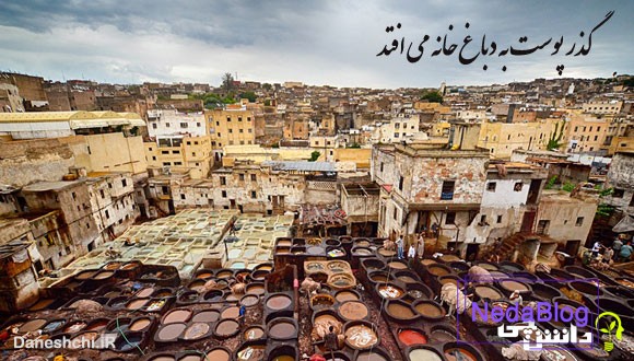 گذر پوست به دباغ خانه می افتد