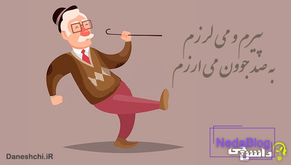 معنی پیرم و می‌لرزم، به صد جوون می‌ارزم
