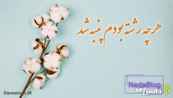 ضرب المثل هرچه رشته بودم پنبه شد