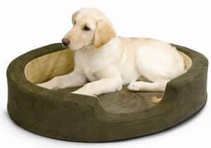 تخت خواب سگ