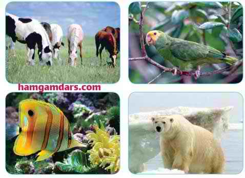 ایستگاه فکر صفحه 11 هدیه چهارم