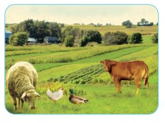  هریک از این پدیده‌ ها، کدام نیازهای ما را برطرف می‌کنند