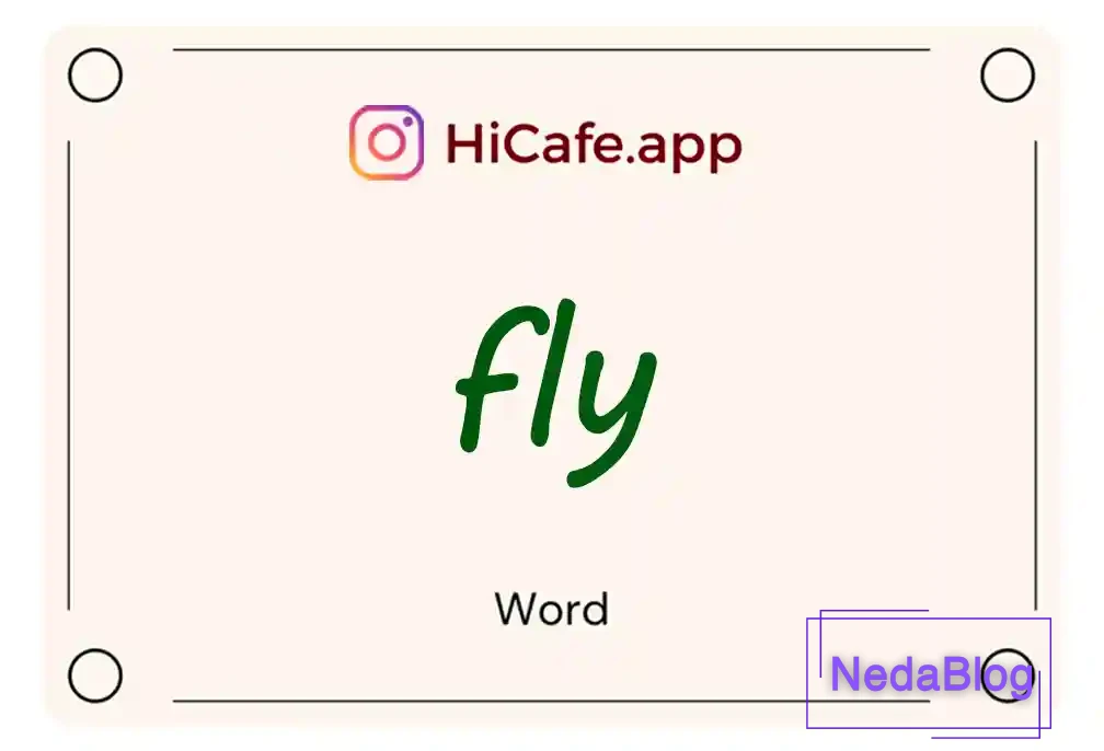 Meaning and usage of fly word