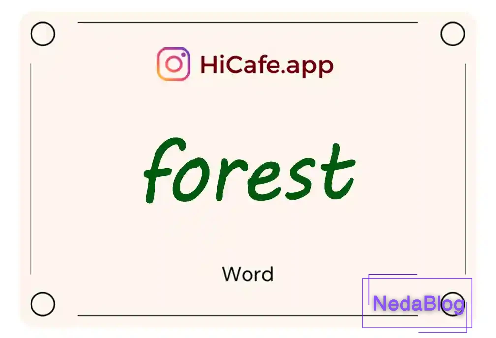 Meaning and usage of forest word