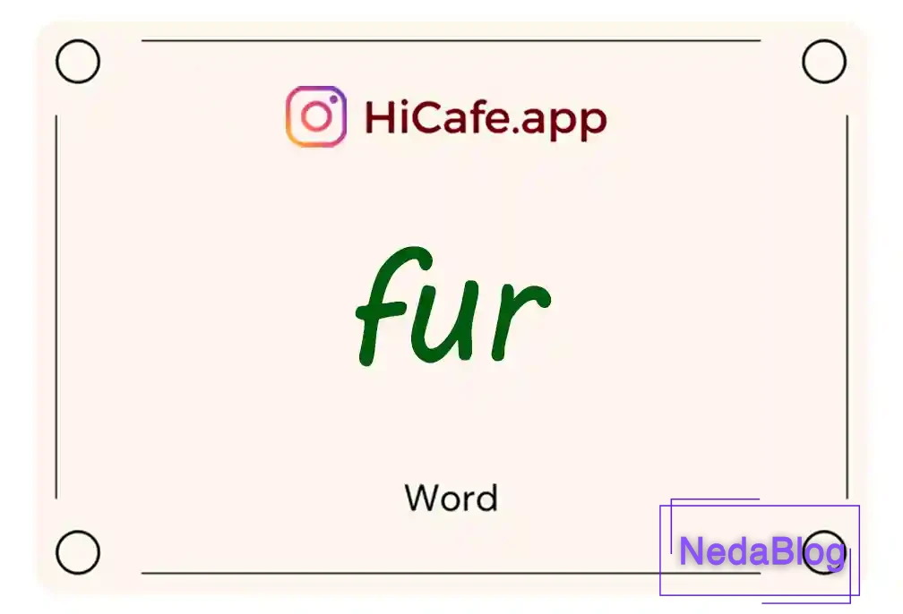 Meaning and usage of fur word