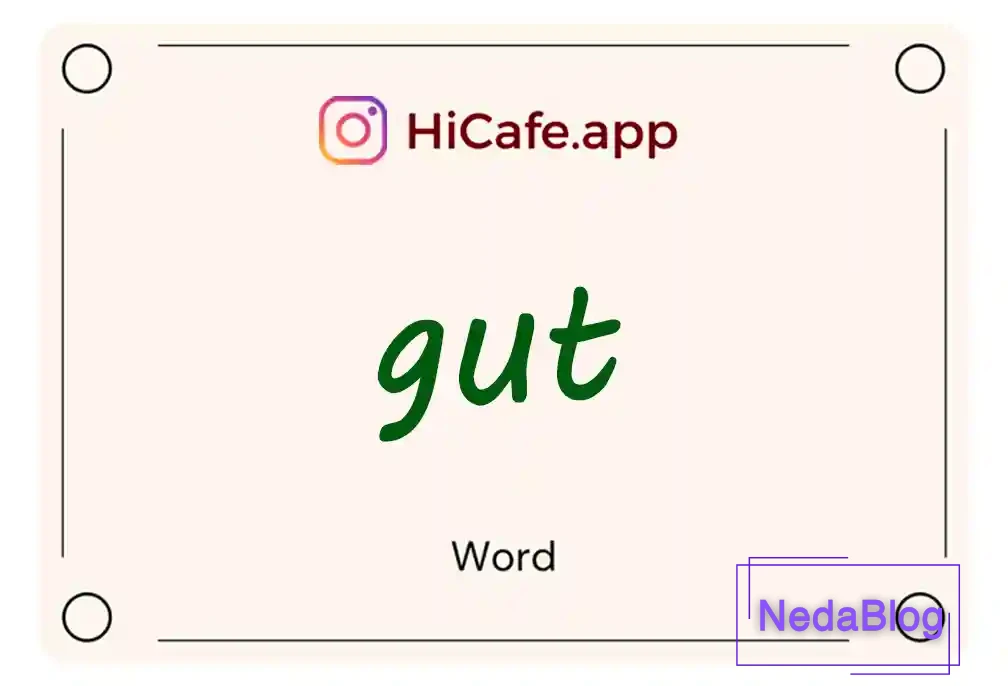 Meaning and usage of gut word