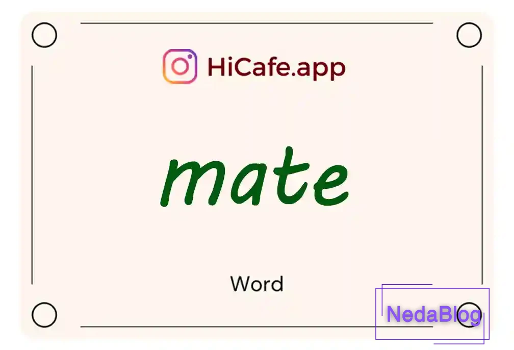Meaning and usage of mate word