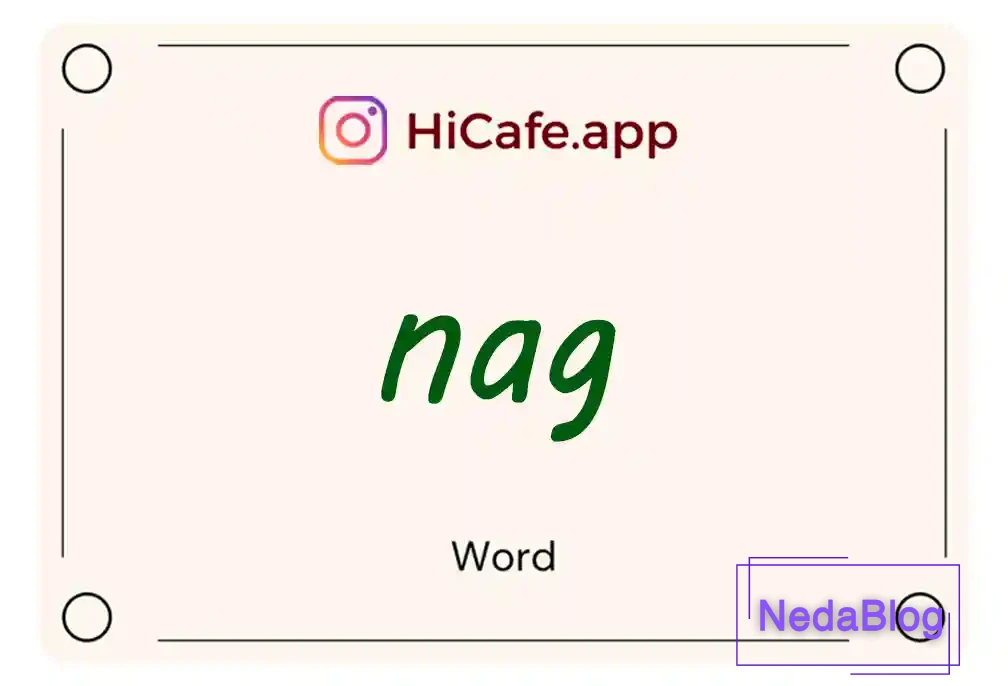 Meaning and usage of nag word